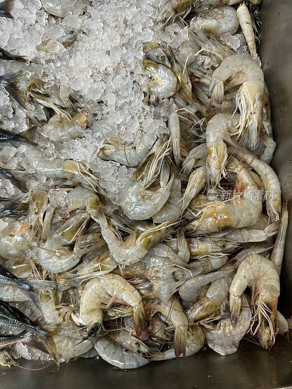 在鱼市的鱼贩展示台上，一堆新鲜的王虾/冰碎虾装在金属托盘里，俯视图
